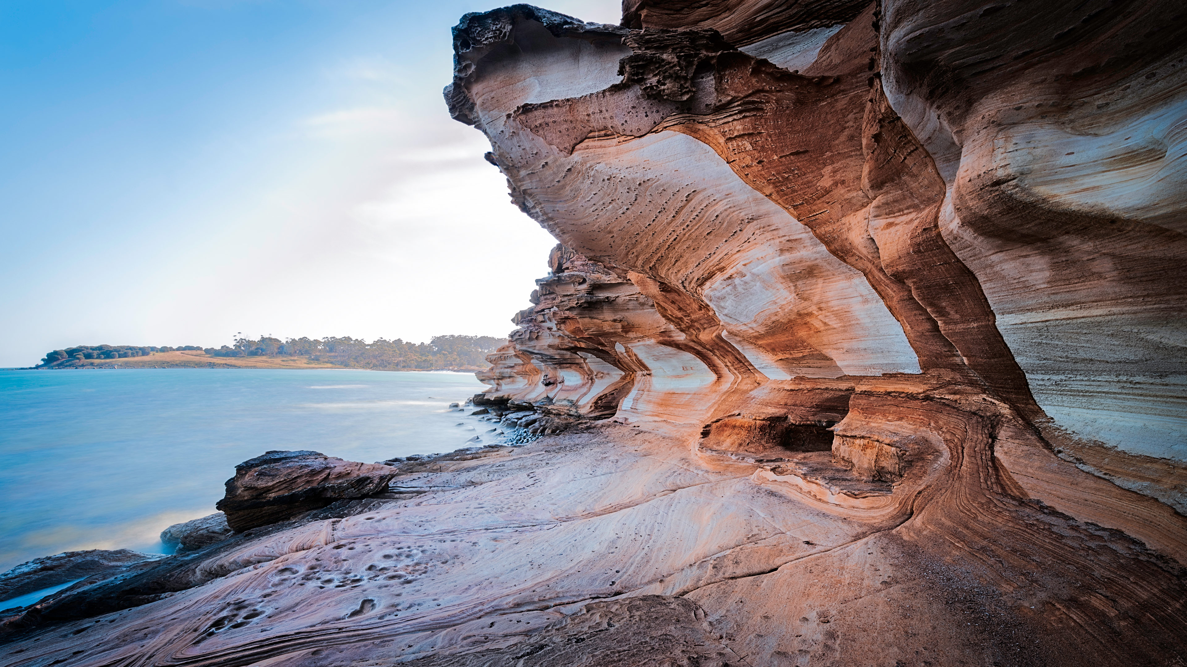 Evento de repasse de taxa com ASAAS